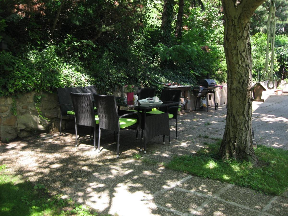 Danube View House With Garden Apartment Vienna Exterior photo