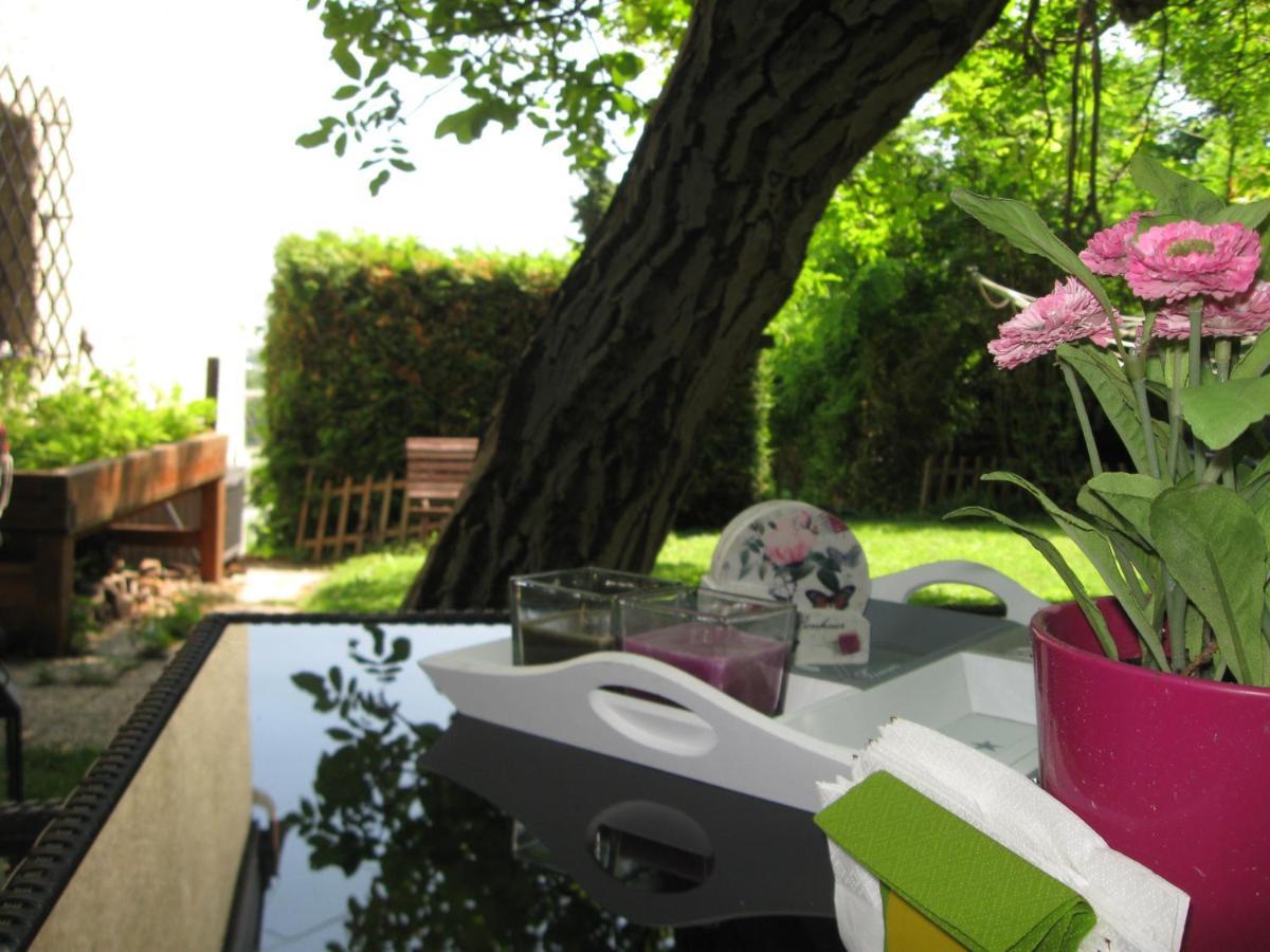 Danube View House With Garden Apartment Vienna Exterior photo